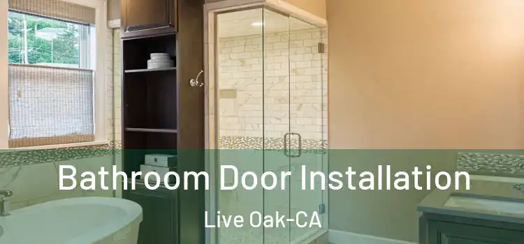Bathroom Door Installation Live Oak-CA
