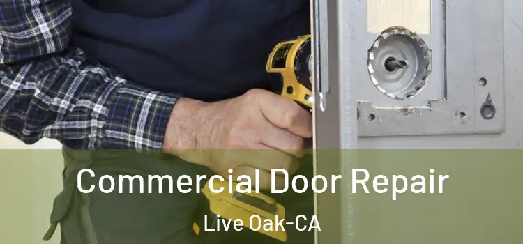  Commercial Door Repair Live Oak-CA