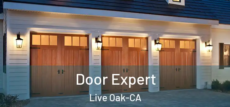  Door Expert Live Oak-CA