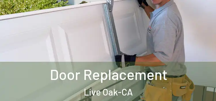  Door Replacement Live Oak-CA