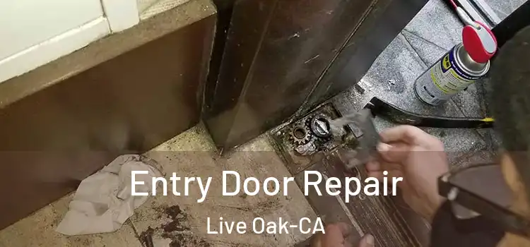  Entry Door Repair Live Oak-CA