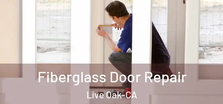 Fiberglass Door Repair Live Oak-CA