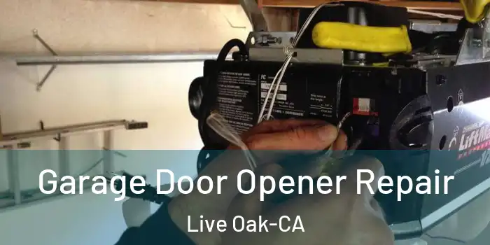  Garage Door Opener Repair Live Oak-CA