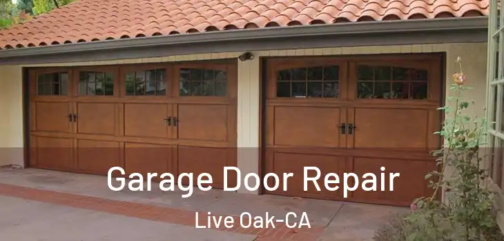 Garage Door Repair Live Oak-CA