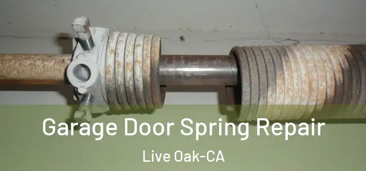  Garage Door Spring Repair Live Oak-CA