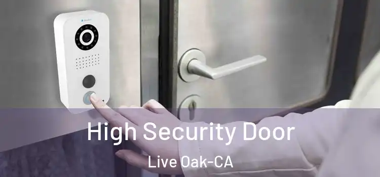  High Security Door Live Oak-CA