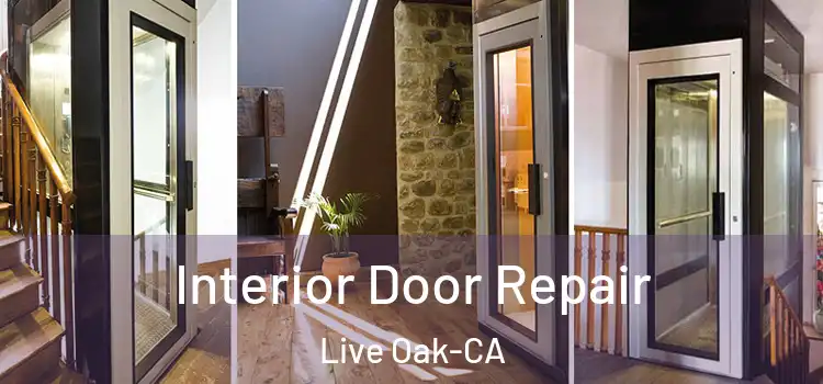  Interior Door Repair Live Oak-CA