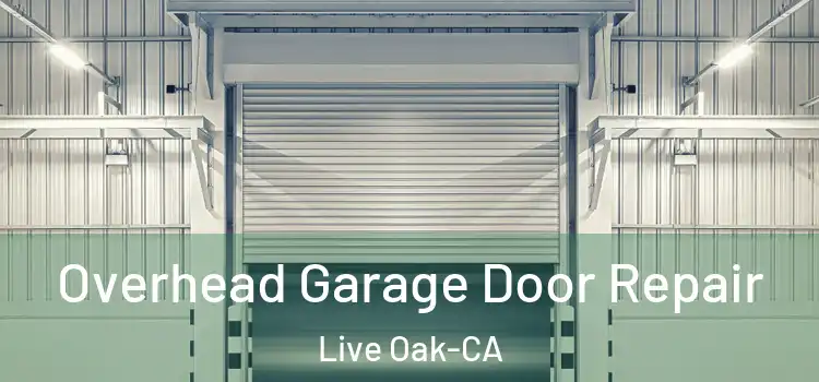  Overhead Garage Door Repair Live Oak-CA