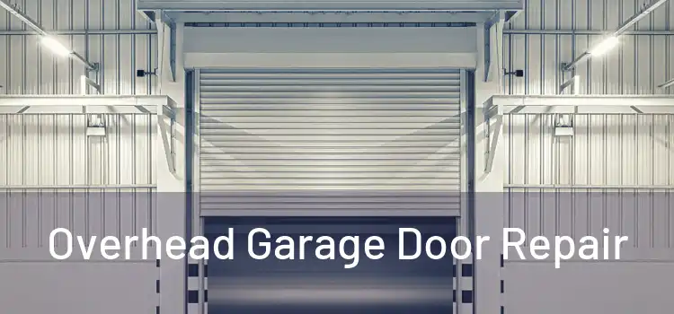  Overhead Garage Door Repair 