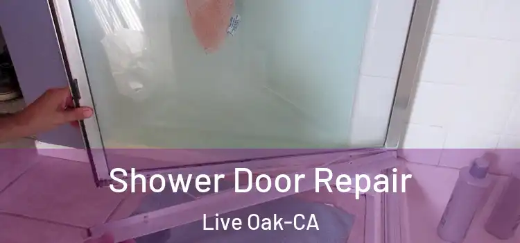  Shower Door Repair Live Oak-CA