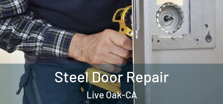  Steel Door Repair Live Oak-CA